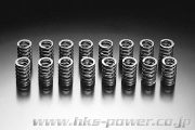 HKS Valve Spring Kit